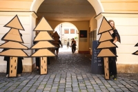 https://tygrliska.com/files/gimgs/th-52_DSC00881_kopie_2.jpg